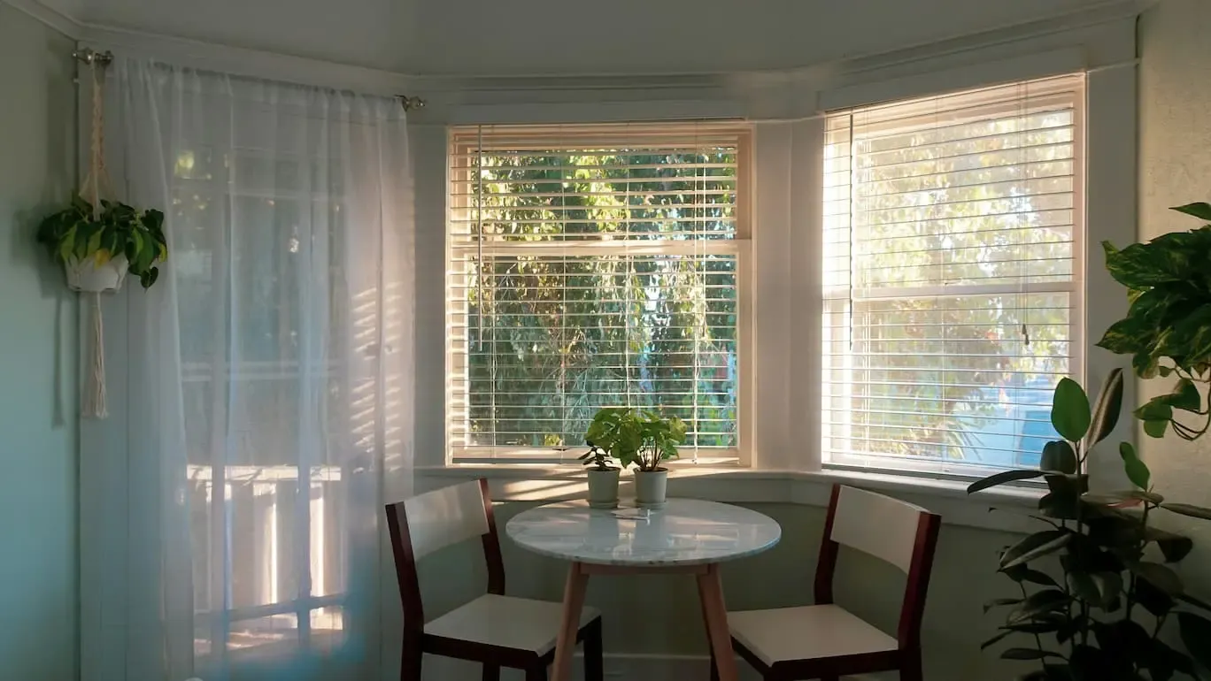 Window with curtains